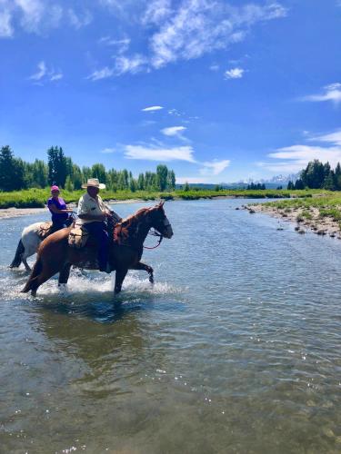 two people riding horses across a river at Heart Six Ranch in Moran