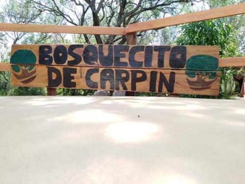 Gambar di galeri bagi Bosquecito de Carpin di Carpintería