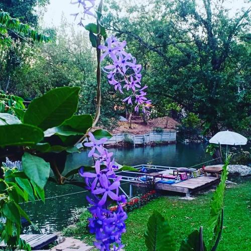 Κήπος έξω από το Brookhouse at Khaoyai