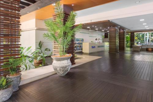 a lobby with a large vase with plants in it at Drift Palm Cove in Palm Cove