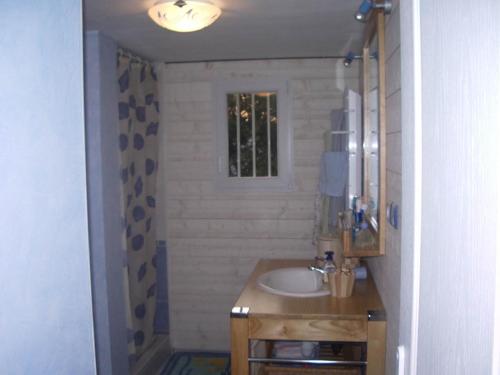 a bathroom with a sink and a mirror at villa OLERON in Chaucre