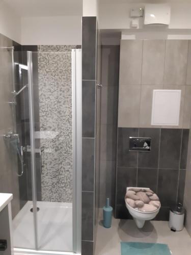 Kúpeľňa v ubytovaní Dilara Apartman Sárvár