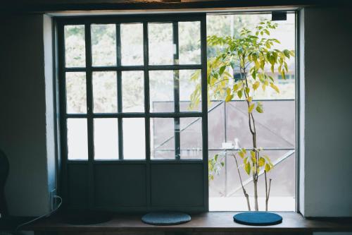 a plant in front of a door with a window at Goonnight Hostel in Kaohsiung