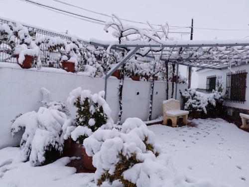 a yard covered in snow with a fence and bushes at Cueva Tradicional El capricho in Guadix