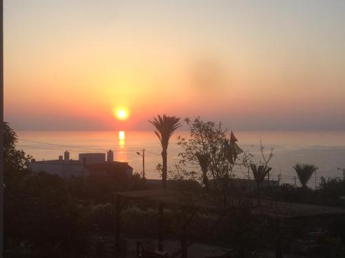 a sunset over the ocean with a palm tree at Agriturismo Salento D'Arare in Marina Serra
