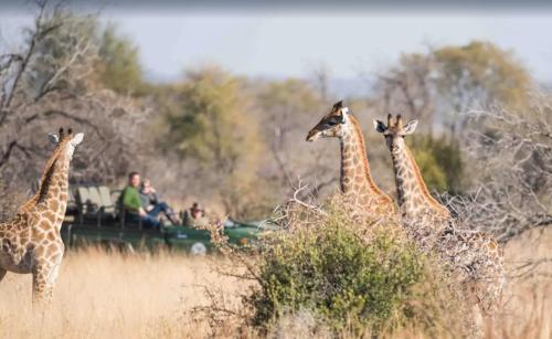 Gallery image of Teen Ranch Kenya in Amboseli