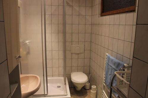 La petite salle de bains est pourvue de toilettes et d'un lavabo. dans l'établissement Ferienhaus Wittmann, à Kurort Oberwiesenthal