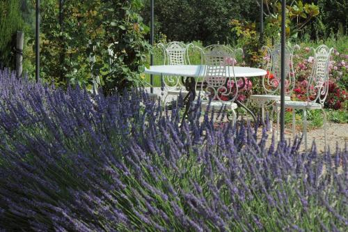 Une Campagne En Provence – Photos 5