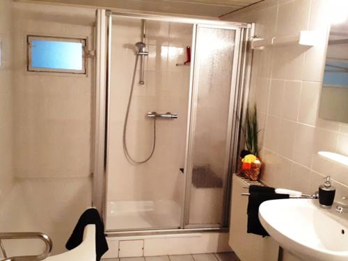 a bathroom with a shower and a sink at Ferienwohnung Schäfer in Steinau an der Straße