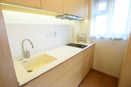 Virtuvė arba virtuvėlė apgyvendinimo įstaigoje Decebal Residence Apartments