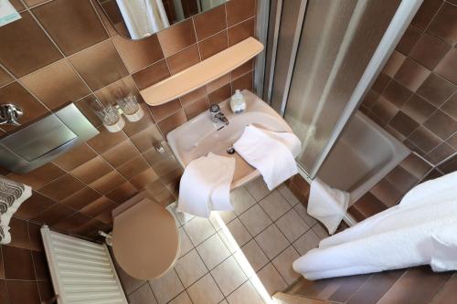- une salle de bains avec toilettes et lavabo dans l'établissement Höhenpension Glashütte Bed&Breakfast Frühstückspension Hotel GARNI, à Glashütte