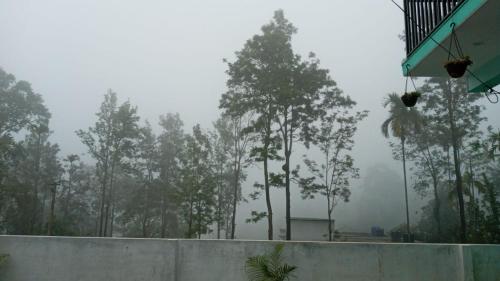 Galería fotográfica de Wayanad Snow Vibes en Vythiri