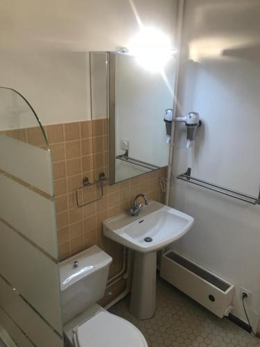 une salle de bain avec un lavabo, des toilettes et un miroir dans l'établissement Entre forêt et Mer au Calme, à Trouville-sur-Mer