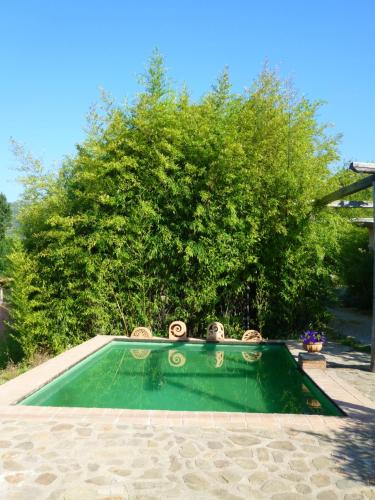 a small green pool with a tree in the background at Podere di Maggio - Glamping tent 2 in Santa Fiora