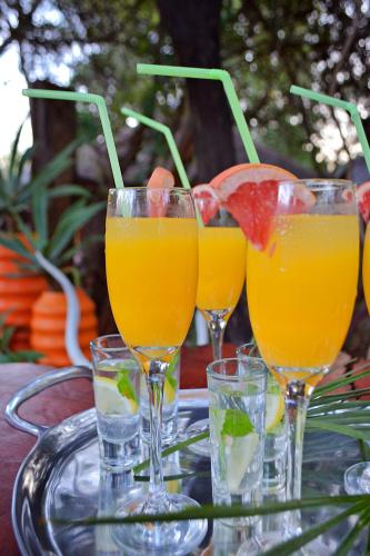 Bebidas en Wielewaal Bush Lodge