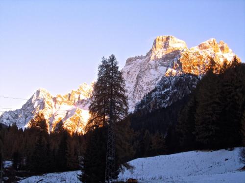 a snow covered mountain with a tree in the foreground at Miniappartamento Dolomiti in Selva di Cadore