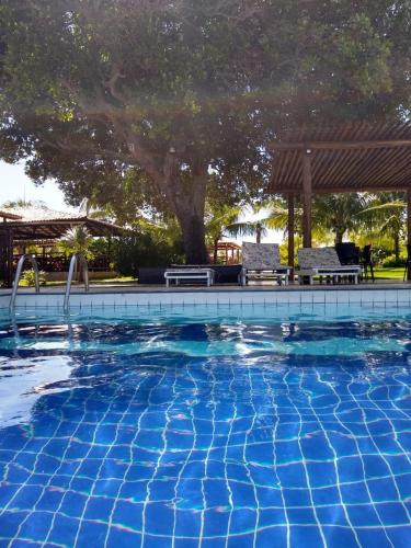 a blue swimming pool with two chairs and a tree at Pousada Ilha do Meio in Itacimirim