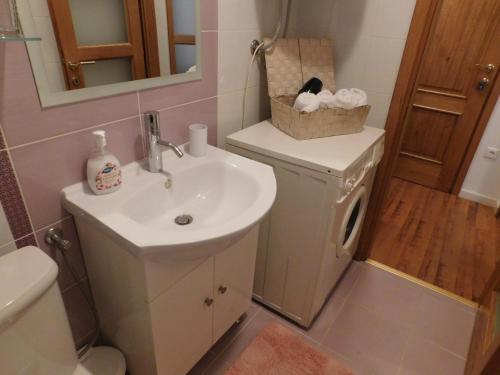 Koupelna v ubytování Apartman Ana