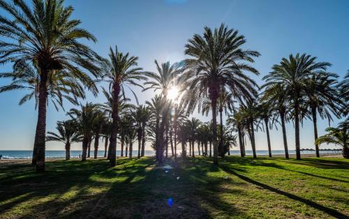una fila de palmeras en la playa en PALM BEACH APARTMENT - Torremolinos, en Torremolinos