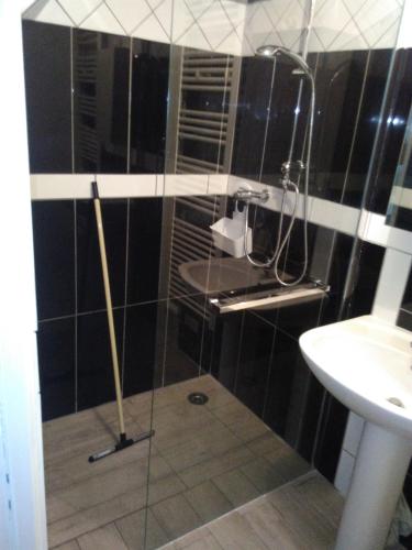 a bathroom with a glass shower and a sink at jolie appartement centre de Fismes in Fismes