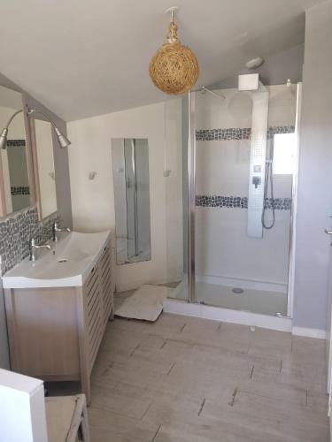 une salle de bain avec douche et lavabo dans l'établissement Villa contemporaine, à La Réorthe