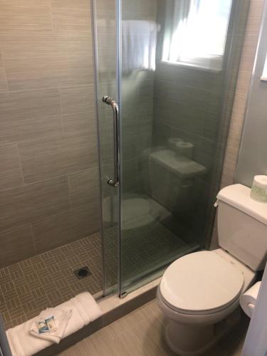 a bathroom with a toilet and a glass shower at Brandon Motor Lodge in Brandon