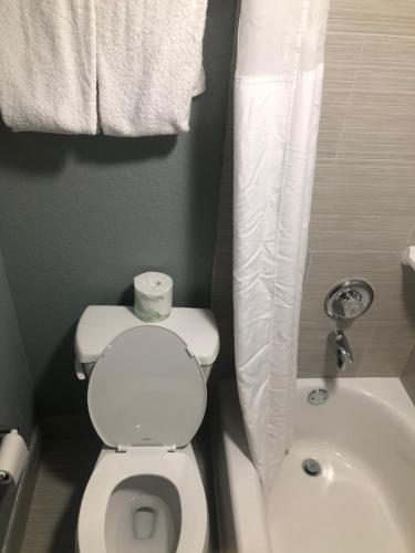 a small bathroom with a toilet and a sink at Brandon Motor Lodge in Brandon