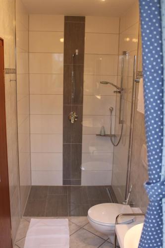 a bathroom with a shower with a toilet in it at Gästehaus Niemerg in Warendorf