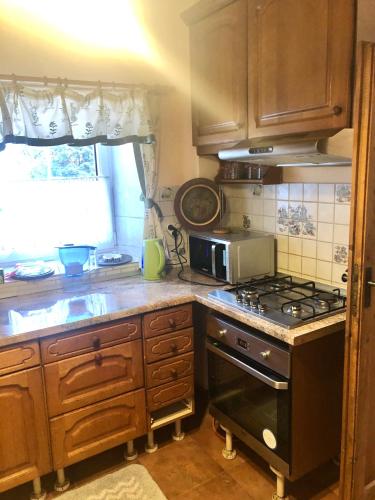 a kitchen with a stove and a microwave at Panorama Lambach Appartament in Mürzzuschlag