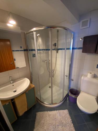 La salle de bains est pourvue d'une douche, de toilettes et d'un lavabo. dans l'établissement Chalet Alm, à Zermatt