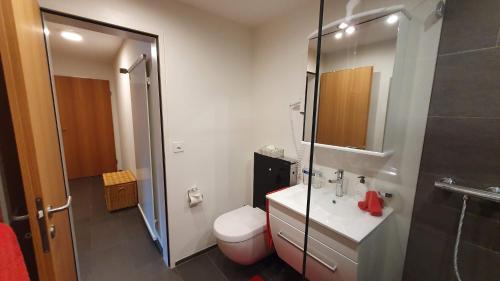 a bathroom with a toilet and a sink and a shower at Chesa Blais in Pontresina