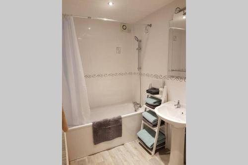 a bathroom with a shower and a sink at Sister's Apartment in Llanelli