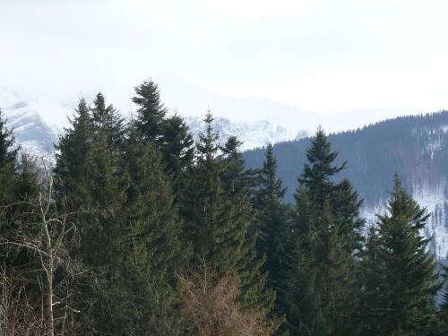 ホームステイの近くで見られる自然の景観