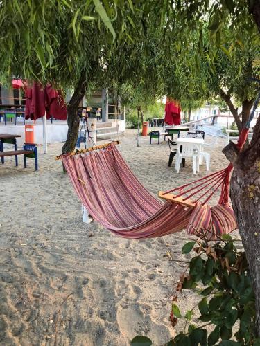 Φυσικό τοπίο κοντά σε αυτός ο ξενώνας