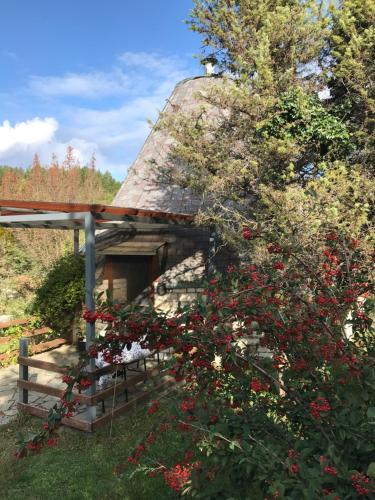 Giardino di Theasis-Igloo