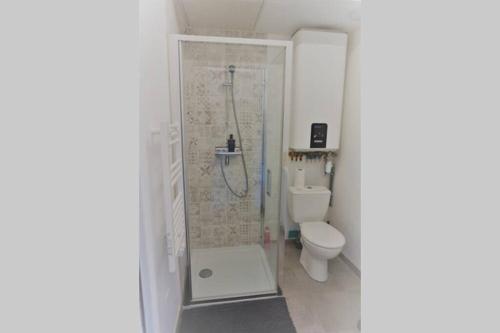 T2, métro anatole france, proche gare, CHU في رين: حمام مع دش ومرحاض