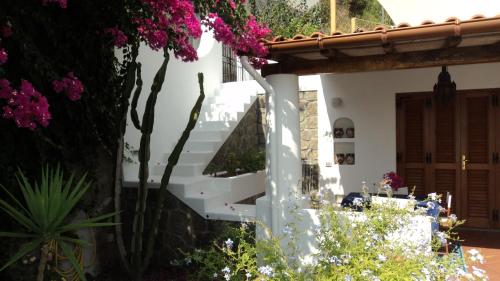 a white staircase in a garden with pink flowers at Villa Valle Canale in Marina