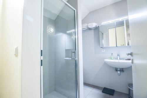a bathroom with a shower and a sink at Il Mare appart hotel 1,2,4 in Luxembourg