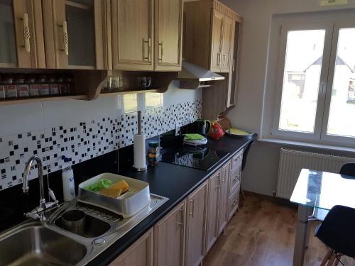 a kitchen with a sink and a counter top at Agroturystyka Nad Bobrem in Pilchowice