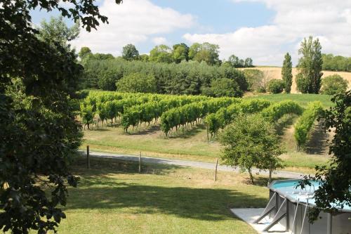 a view of a vineyard from the house at RUDELLE in Thénac