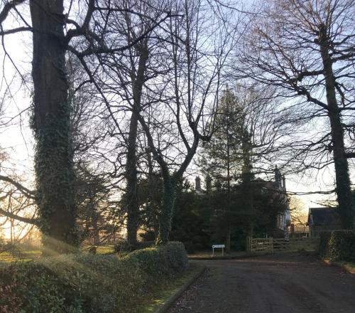 a tree lined road with a church in the distance at Coundon Lodge Coventry in Coventry