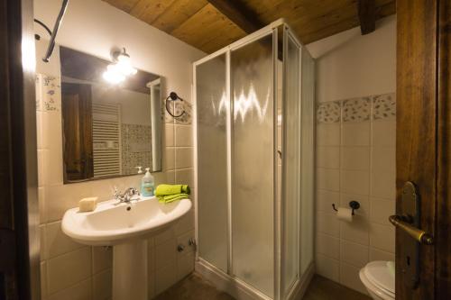 uma casa de banho com um lavatório e um chuveiro em Agriturismo Marinella Appartamenti em Amelia