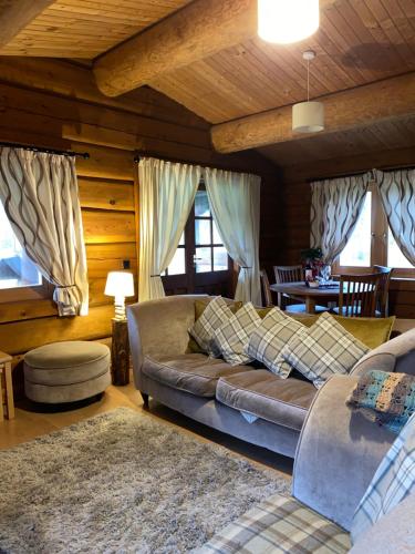 a living room with a couch in a cabin at Log home village in Ulverston