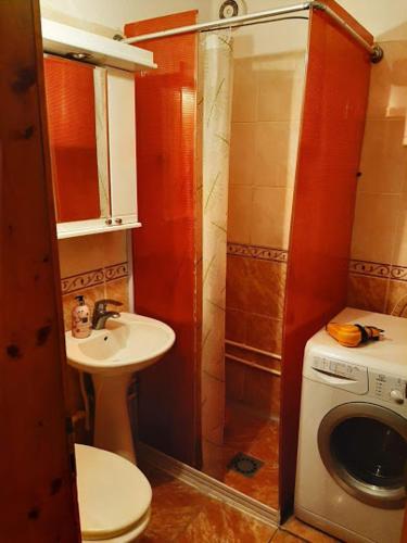 a bathroom with a shower and a toilet and a sink at privatni smestaj Dobri in Bujanovac