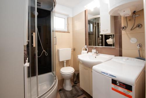 ein Bad mit einem WC, einem Waschbecken und einer Dusche in der Unterkunft Apartman Slavica in Rijeka