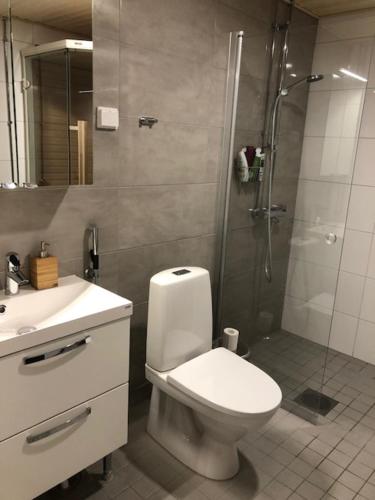 een badkamer met een douche, een toilet en een wastafel bij Lake view Helmi in Jyväskylä