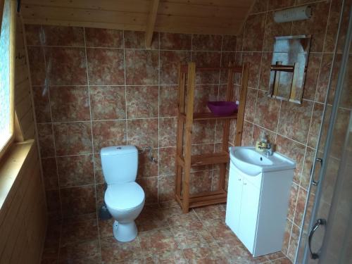 La salle de bains est pourvue de toilettes et d'un lavabo. dans l'établissement Domek Hanka, à Biskupice