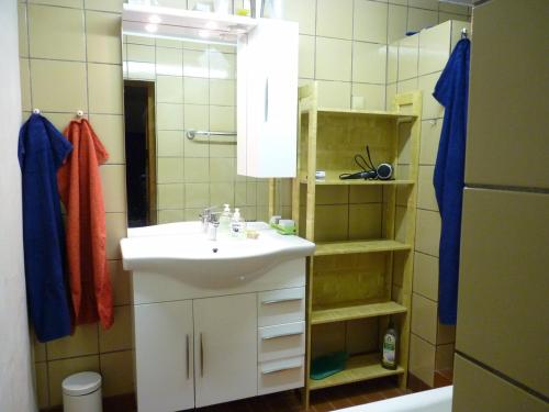 ein Badezimmer mit Waschbecken und Spiegel in der Unterkunft Ein Platz für Ruhe und Naturgenuss in Sebnitz