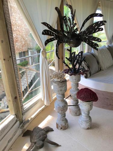 a group of vases with plants in a room at Fortamu Twiga-House in Watamu