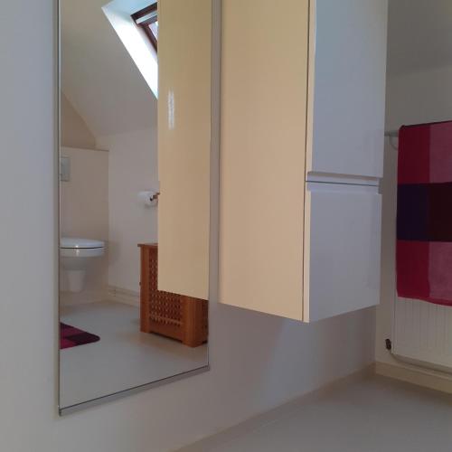 La salle de bains est pourvue d'un miroir et de toilettes. dans l'établissement Maison de la Loue